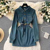 women's autumn denim dress