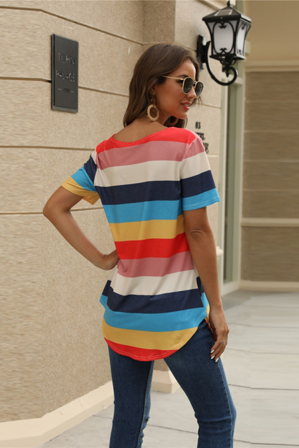 Iridescent  Striped Short Sleeve T-Shirt