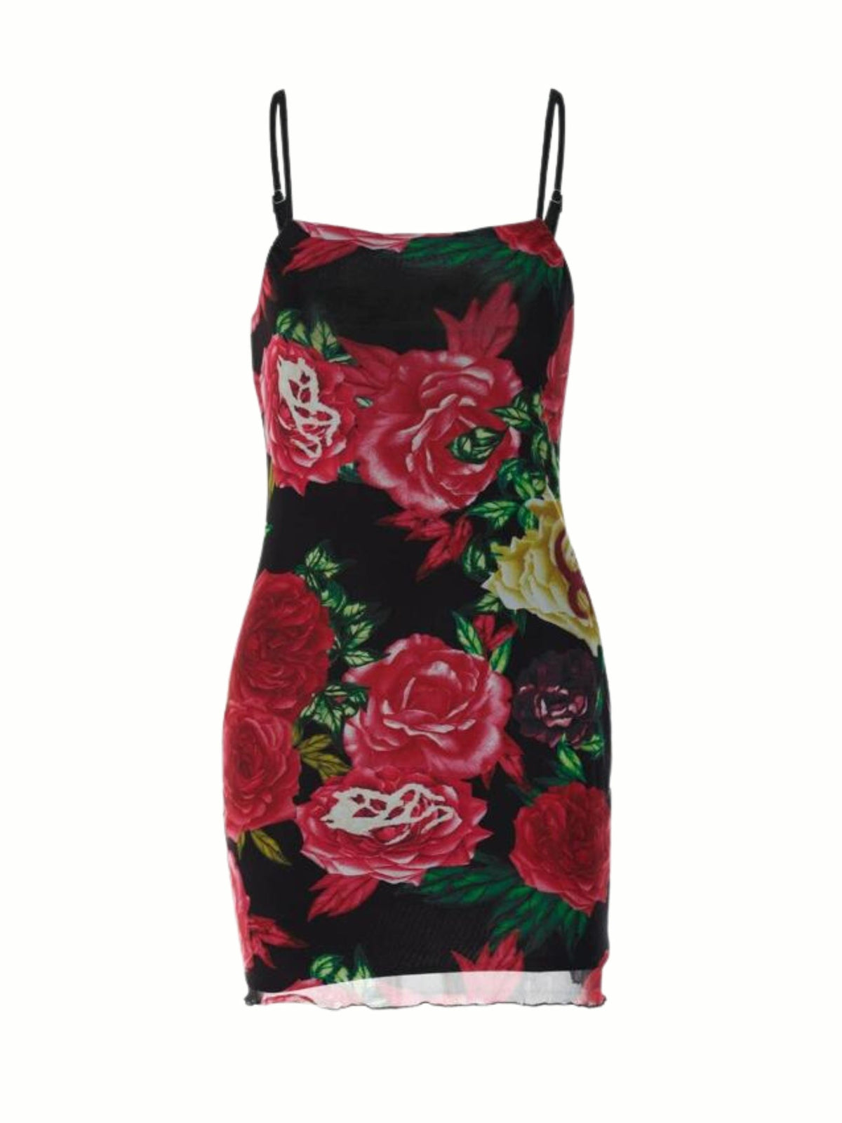 Aixa Mesh Floral Mini Dress