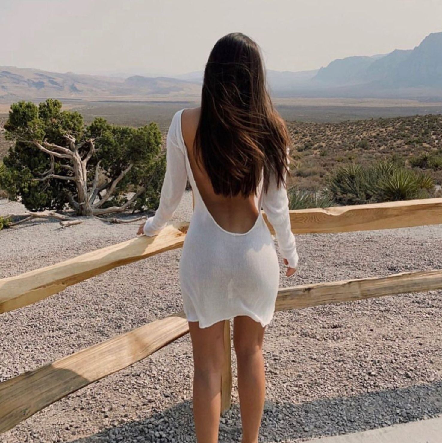 Haylie Backless Mini Dress