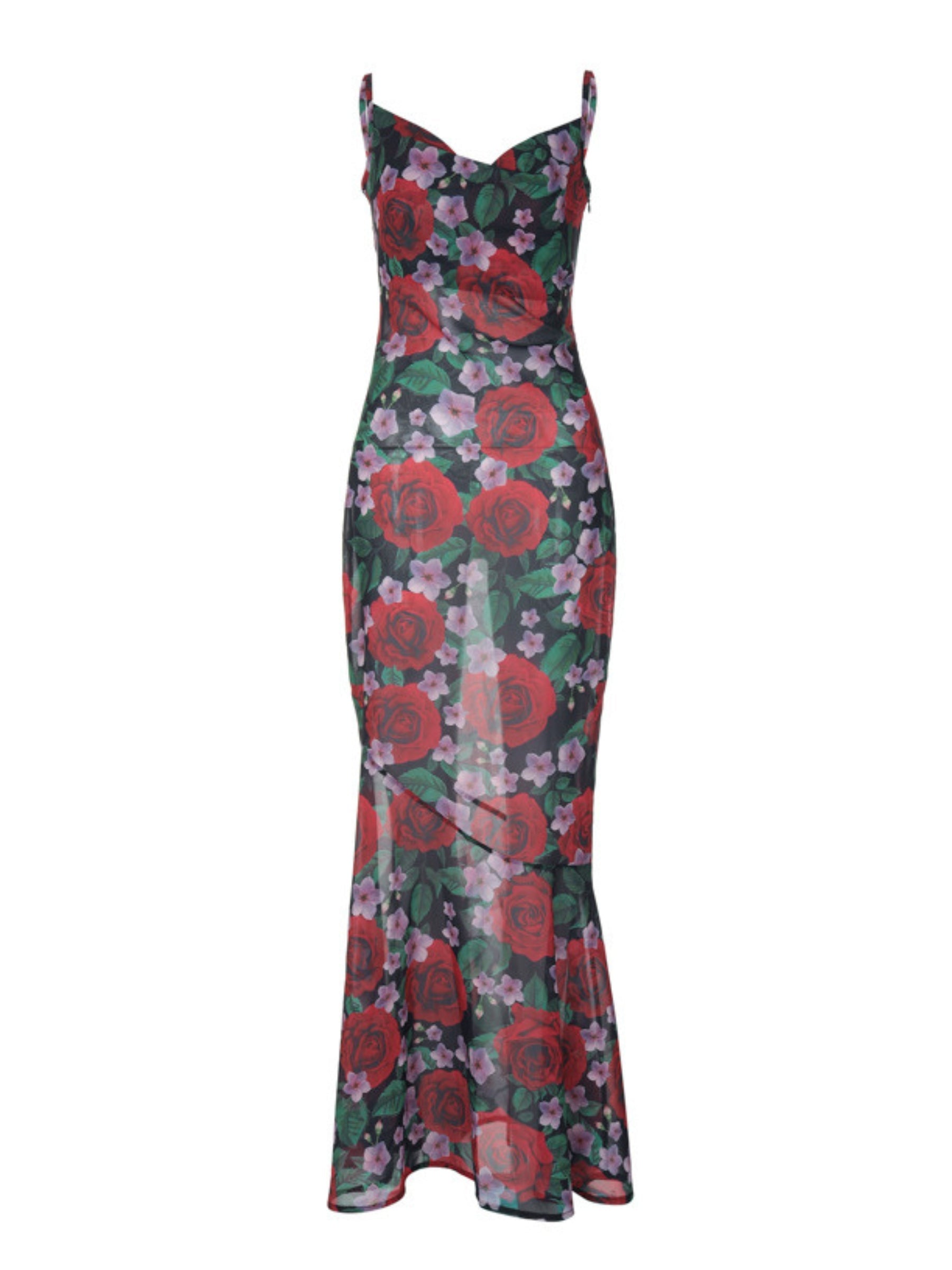 Laela Floral Print Mesh Maxi Dress