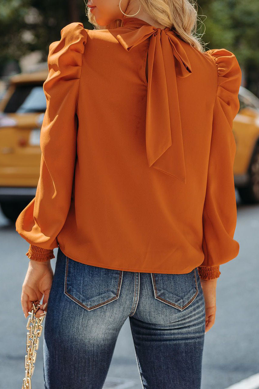 Be A Stand Out Brown Puff Sleeve Blouse