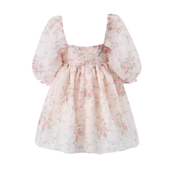 Retro Puff Sleeve Princess Dress