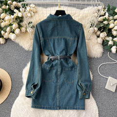 women's autumn denim dress